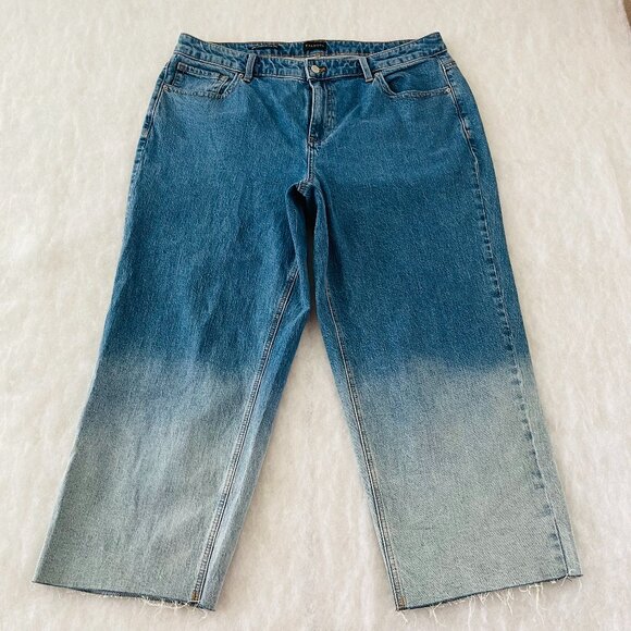 Talbots Womens Blue Offman Wash Hi Rise Ombre Wide Leg Cropped Jeans Size 16W - Picture 1 of 9
